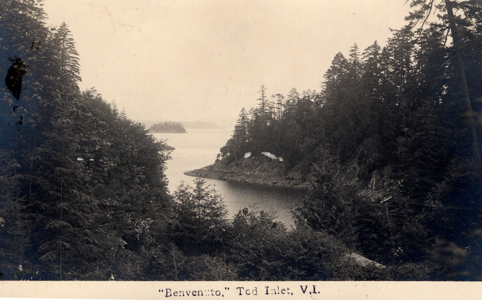 Postcard of Butchart Cove and Saanich Inlet, viewed from the Japanese Garden, circa 1920 (Author's collection)