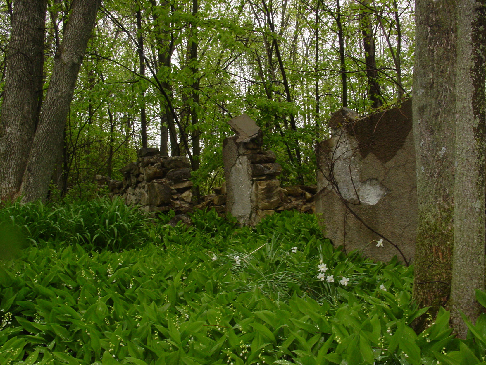 Ruins of the Owen Sound Portland Cement Company factory, Shallow Lake, Ontario, 2003. This possibly the remains of the Butchart house at the Shallow Lake factory site. (photo by author)