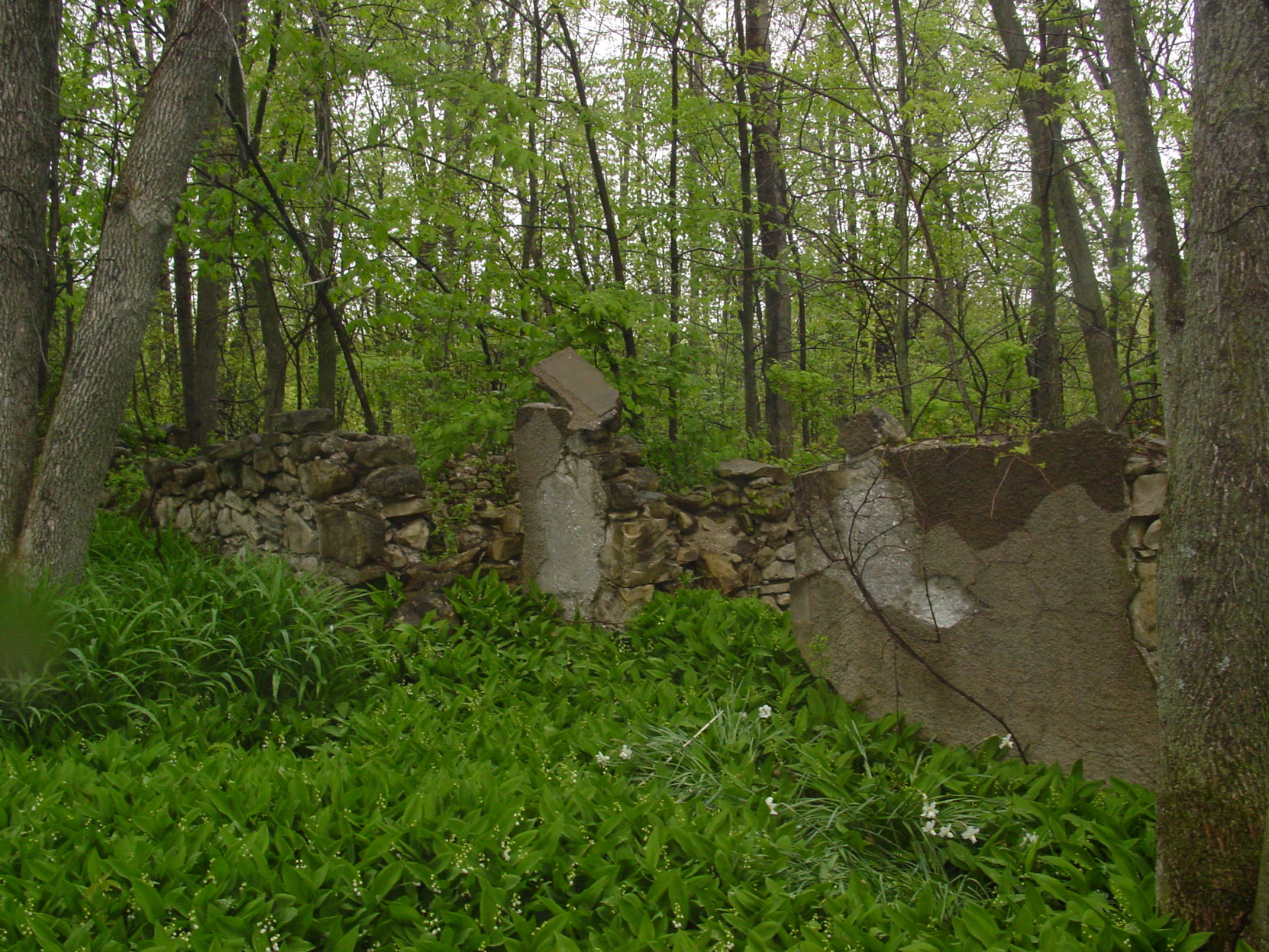 Ruins of the Owen Sound Portland Cement Company factory, Shallow Lake, Ontario, 2003. This possibly the remains of the Butchart house at the Shallow Lake factory site. (photo by author)