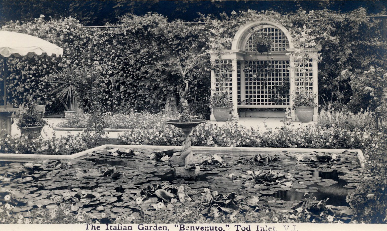 Postcard of the Italian Garden, looking east, circa 1926-1928, prior to the construction of the 1929 addition to Benvenuto on the east side of the Italian Garden. The arbour in the photo was designed by architect Samuel Maclure in 1925. (Author's collection)