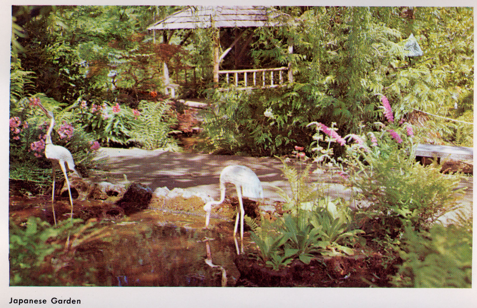 Postcard showing the Japanese Garden, , circa 1960's. (Author's collection)