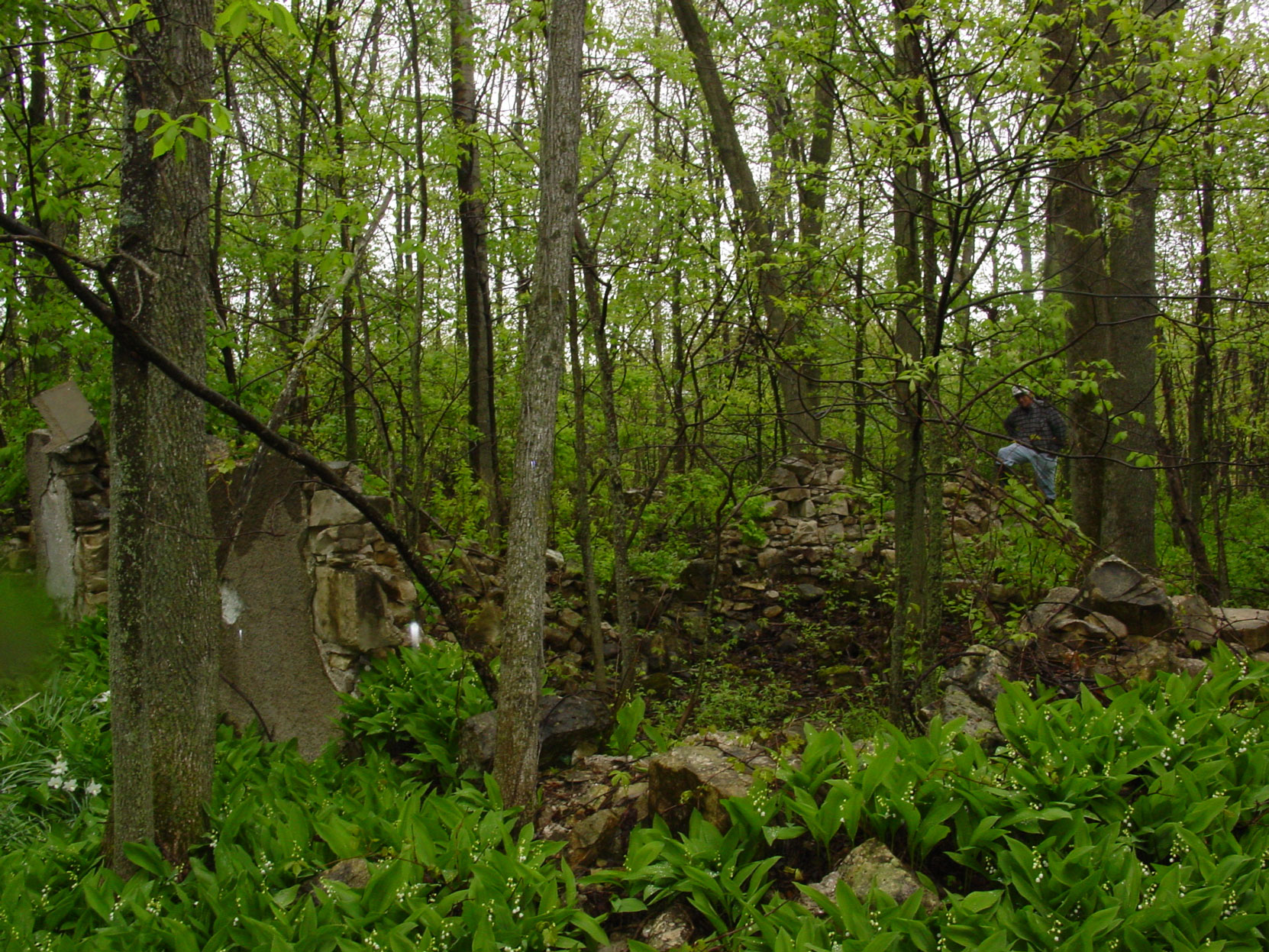 Landowner Murray Noble in what are believed to be the ruins of the Butchart's house at the Shallow Lkae factory site. Ruins of the Owen Sound Portland Cement Company factory, Shallow Lake, Ontario, 2003. (photo by author)