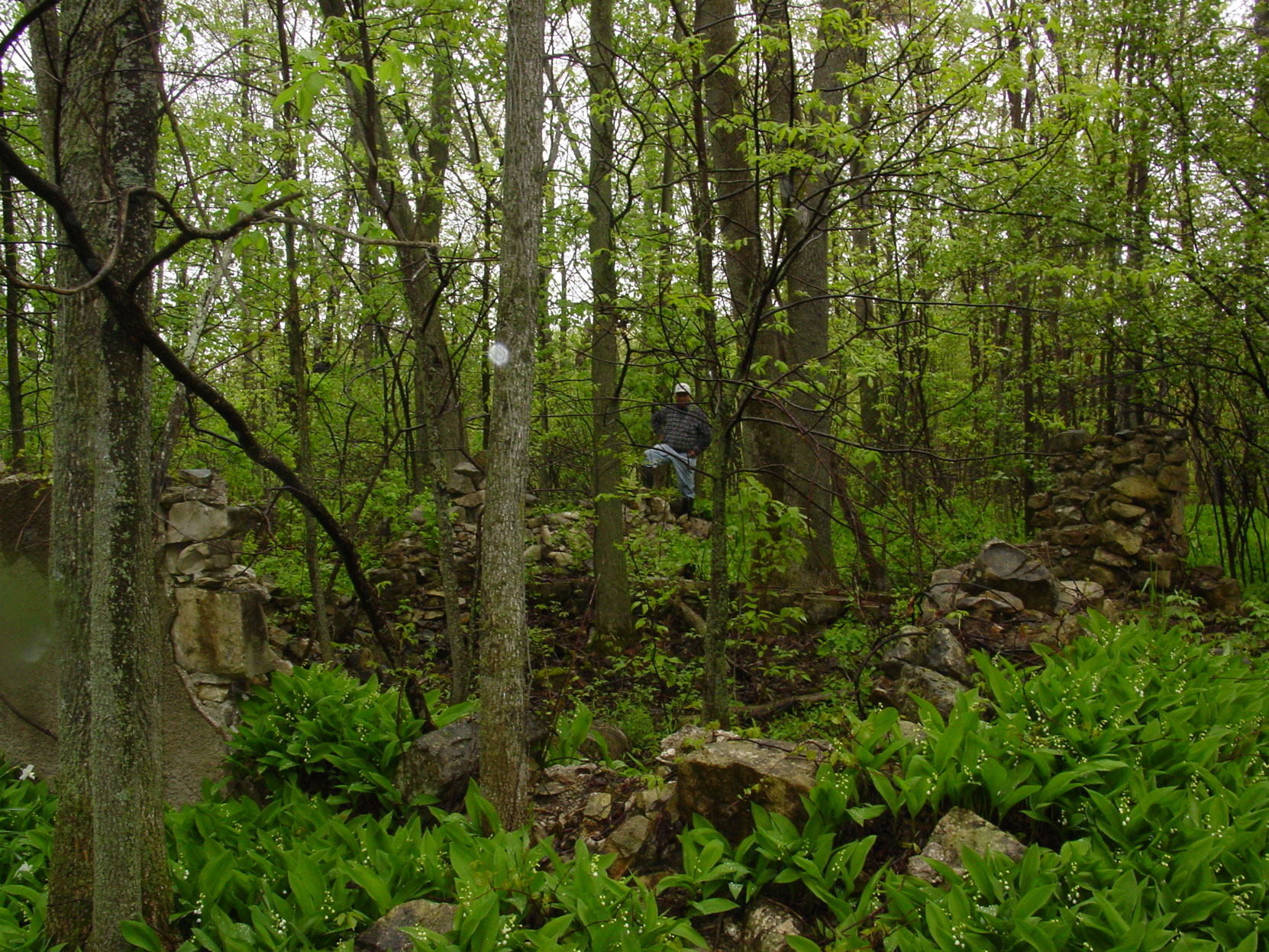 Landowner Murray Noble in what are believed to be the ruins of the Butchart's house at the Shallow Lkae factory site. Ruins of the Owen Sound Portland Cement Company factory, Shallow Lake, Ontario, 2003. (photo by author)