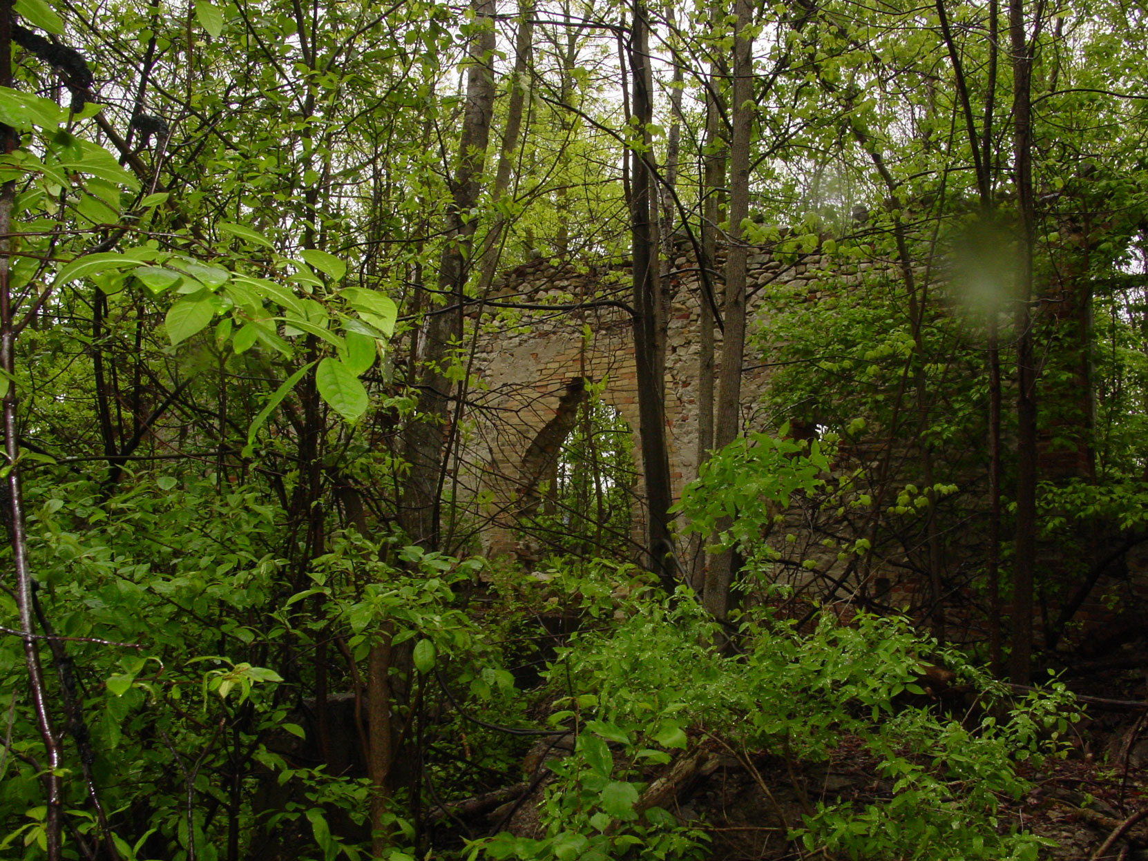 Ruins of the Owen Sound Portland Cement Company factory, Shallow Lake, Ontario, 2003 (photo by author)