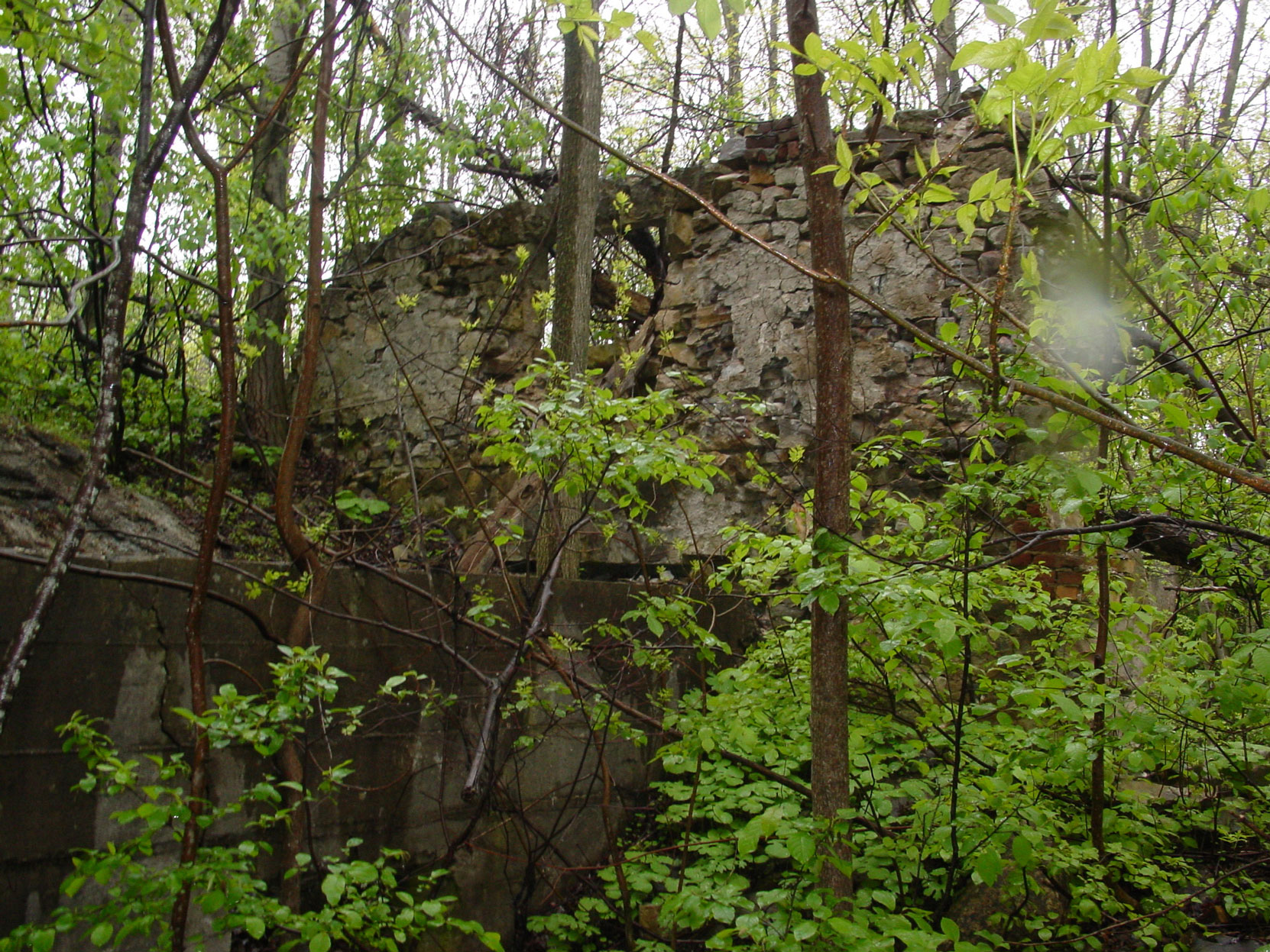 Ruins of the Owen Sound Portland Cement Company factory, Shallow Lake, Ontario, 2003 (photo by author)