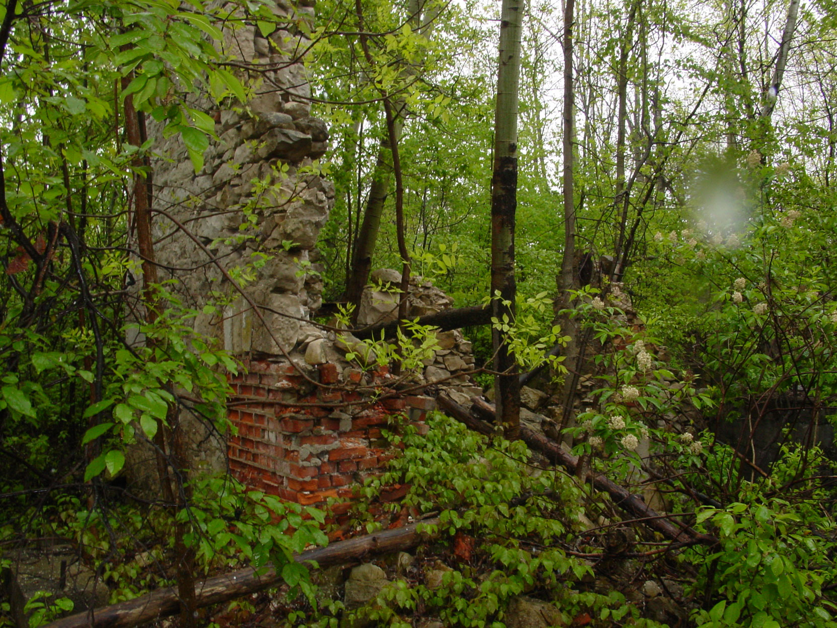 Ruins of the Owen Sound Portland Cement Company factory, Shallow Lake, Ontario, 2003 (photo by author)