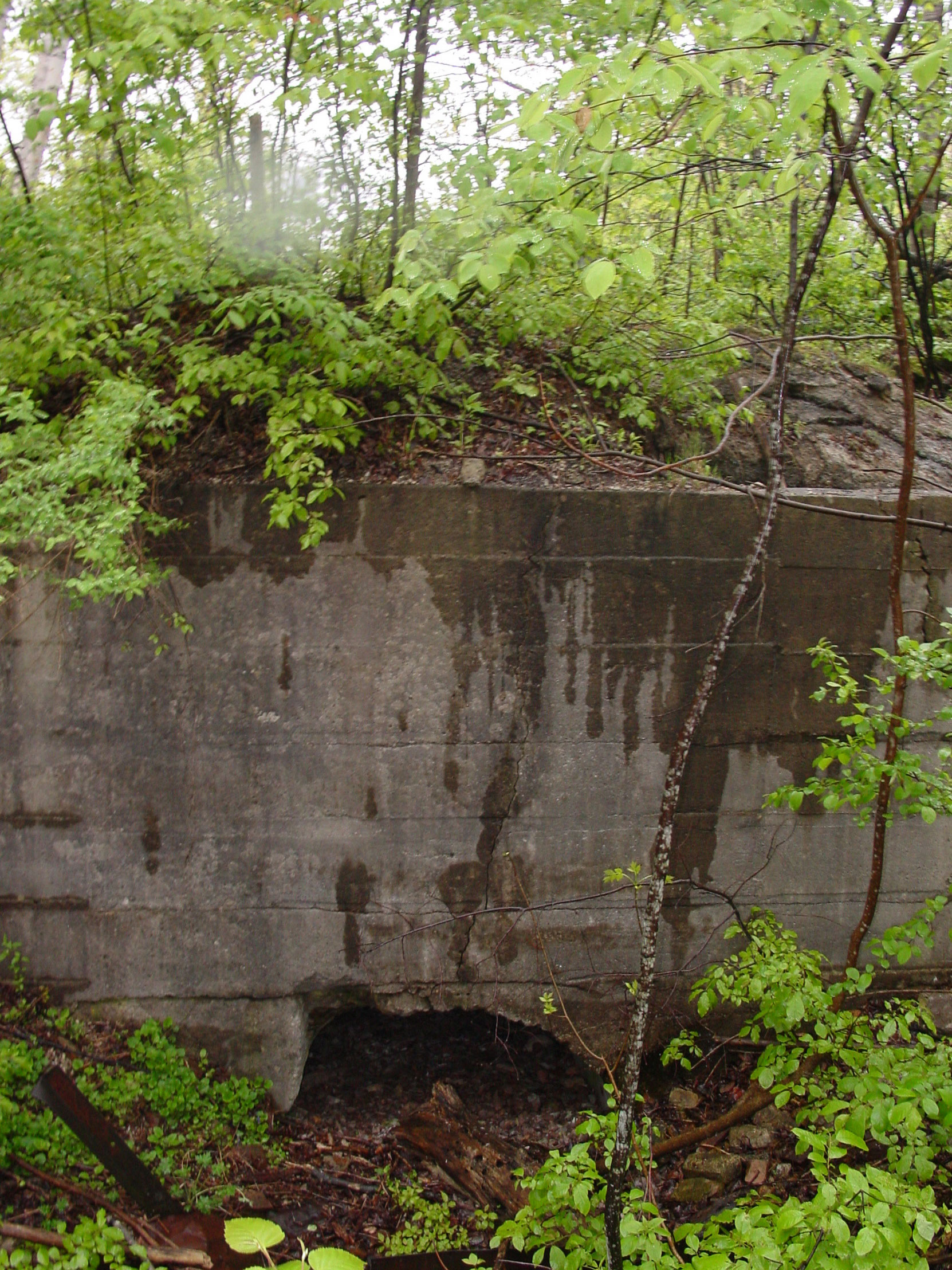 Ruins of the Owen Sound Portland Cement Company factory, Shallow Lake, Ontario, 2003 (photo by author)