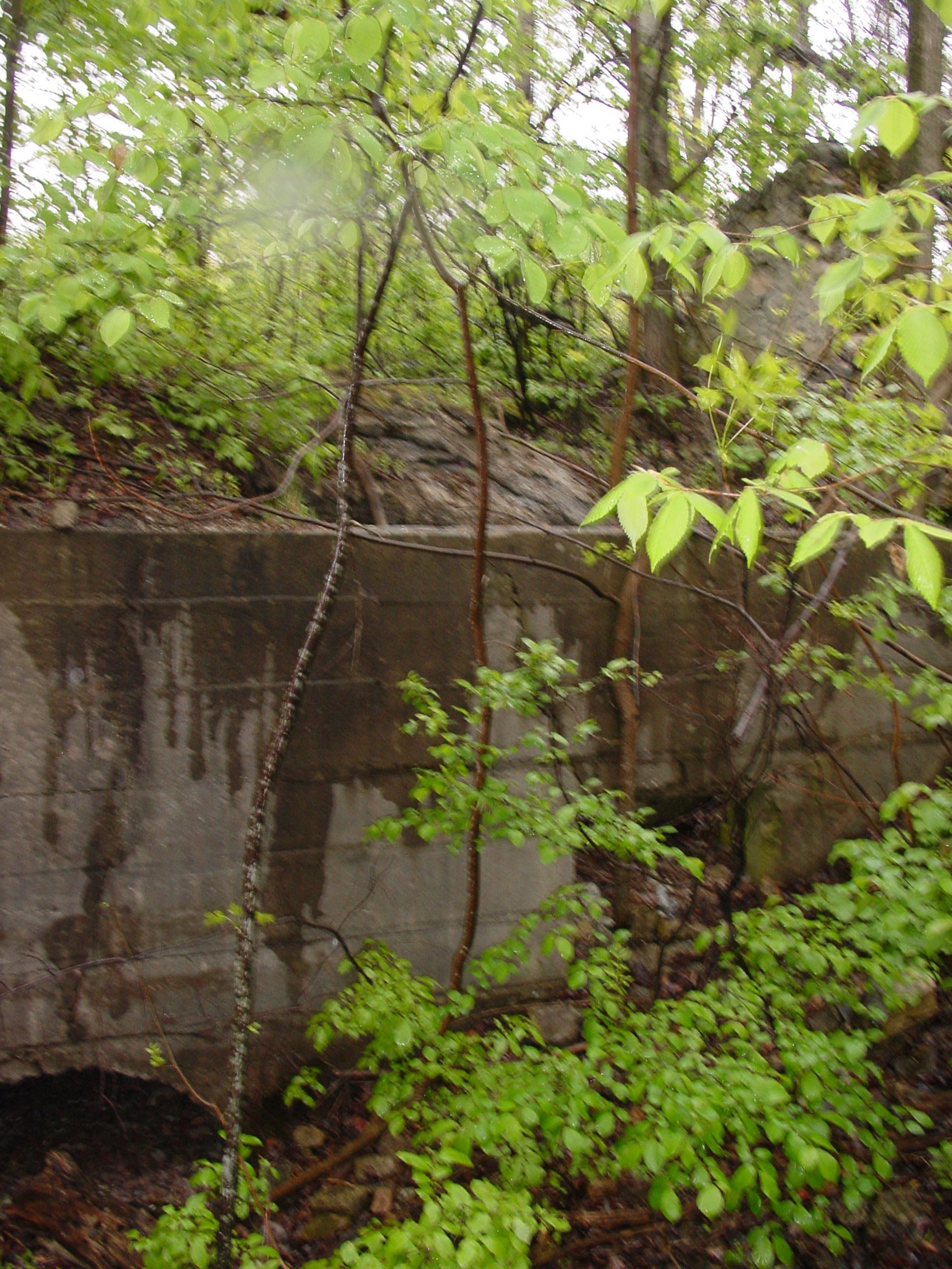 Ruins of the Owen Sound Portland Cement Company factory, Shallow Lake, Ontario, 2003 (photo by author)