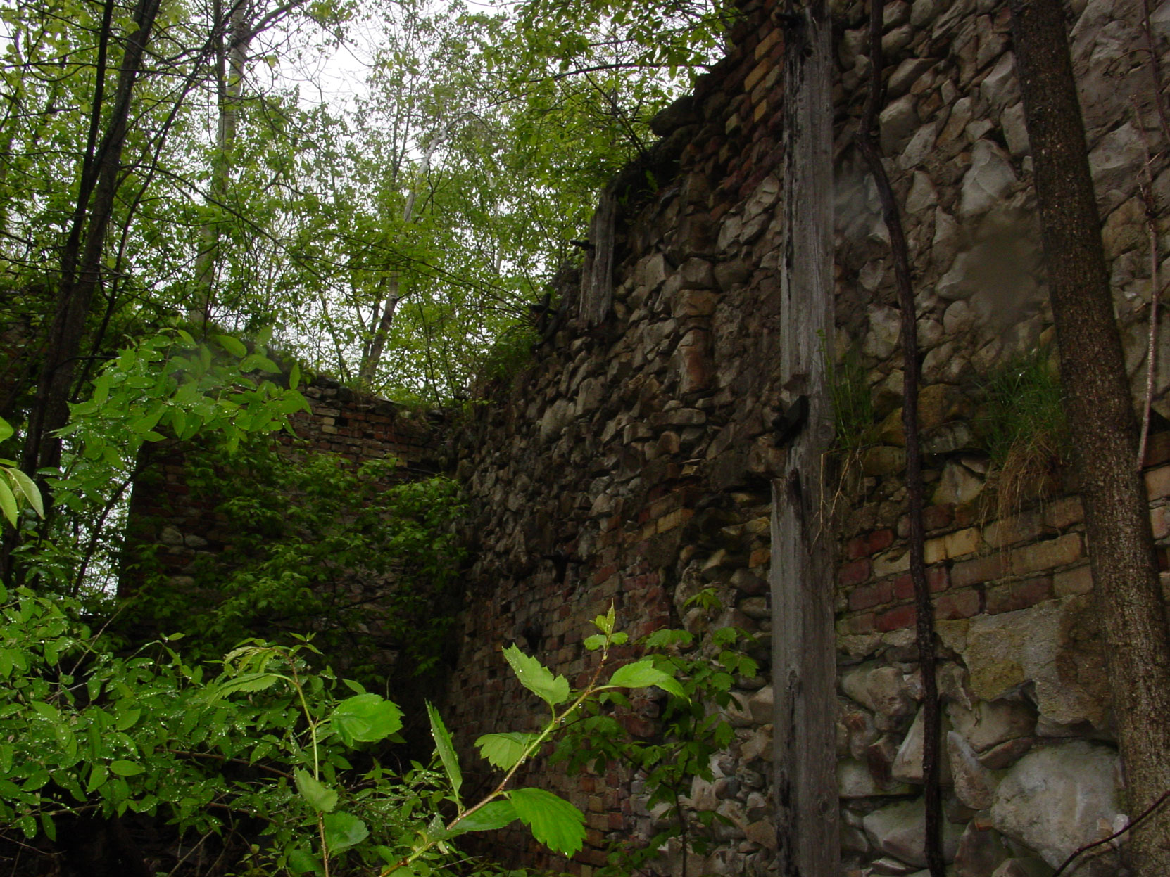 Ruins of the Owen Sound Portland Cement Company factory, Shallow Lake, Ontario, 2003 (photo by author)