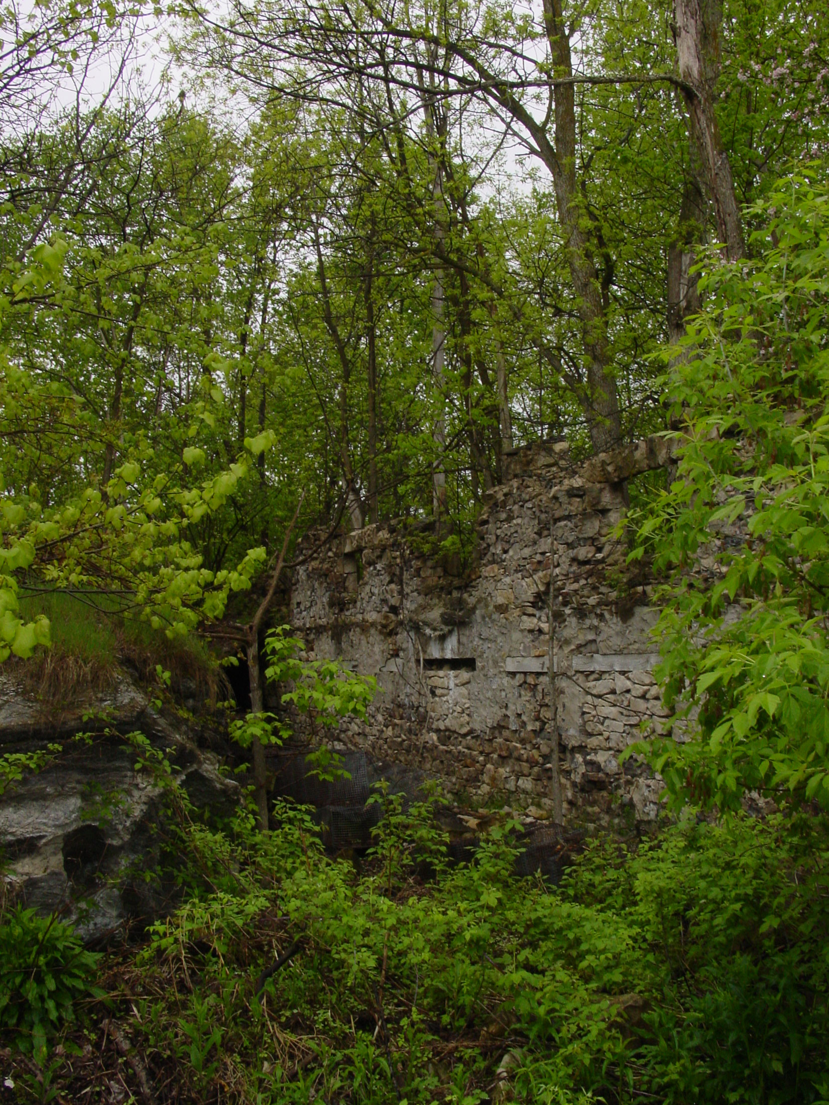 Ruins of the Owen Sound Portland Cement Company factory, Shallow Lake, Ontario, 2003 (photo by author)