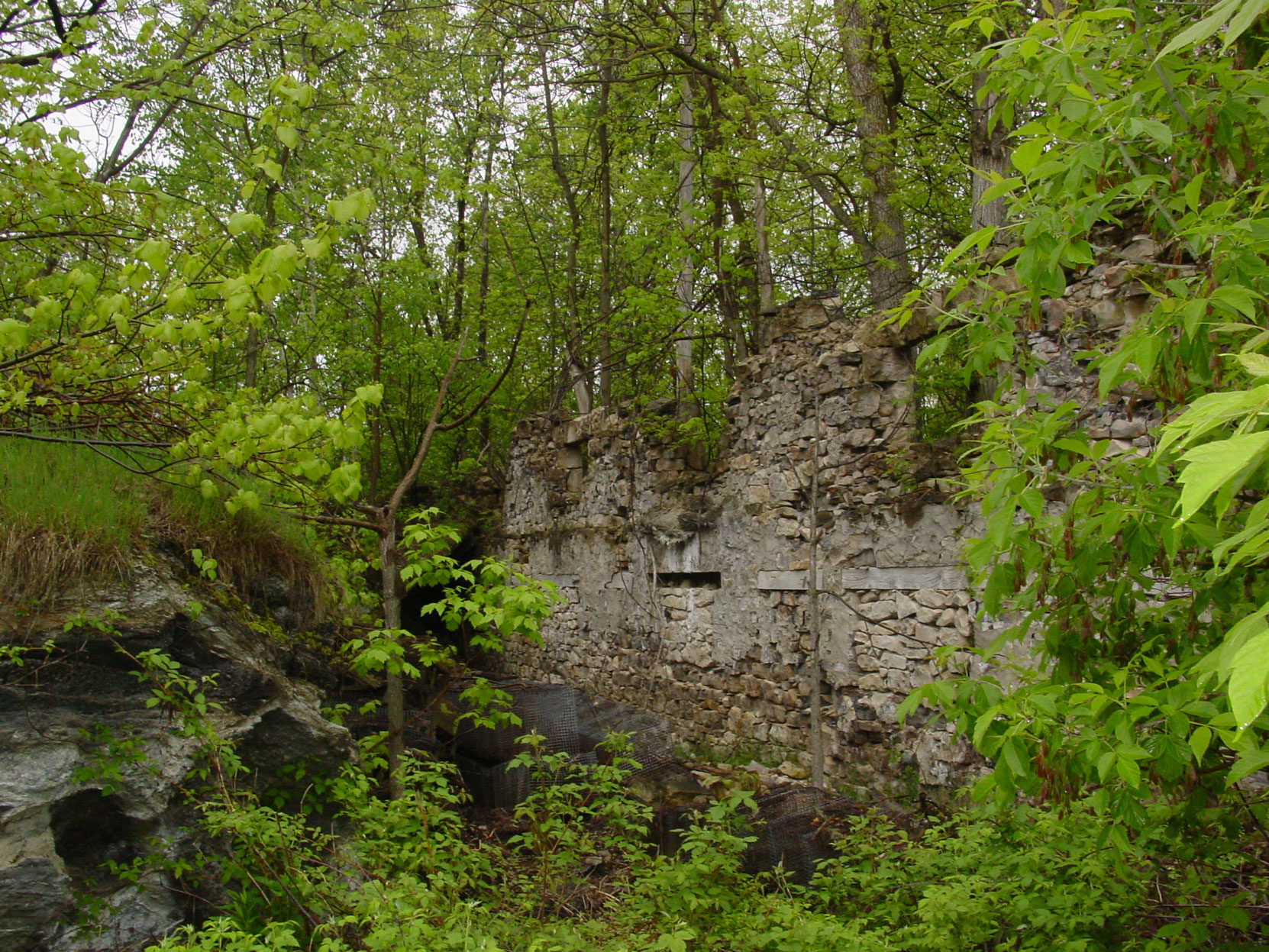 Ruins of the Owen Sound Portland Cement Company factory, Shallow Lake, Ontario, 2003 (photo by author)