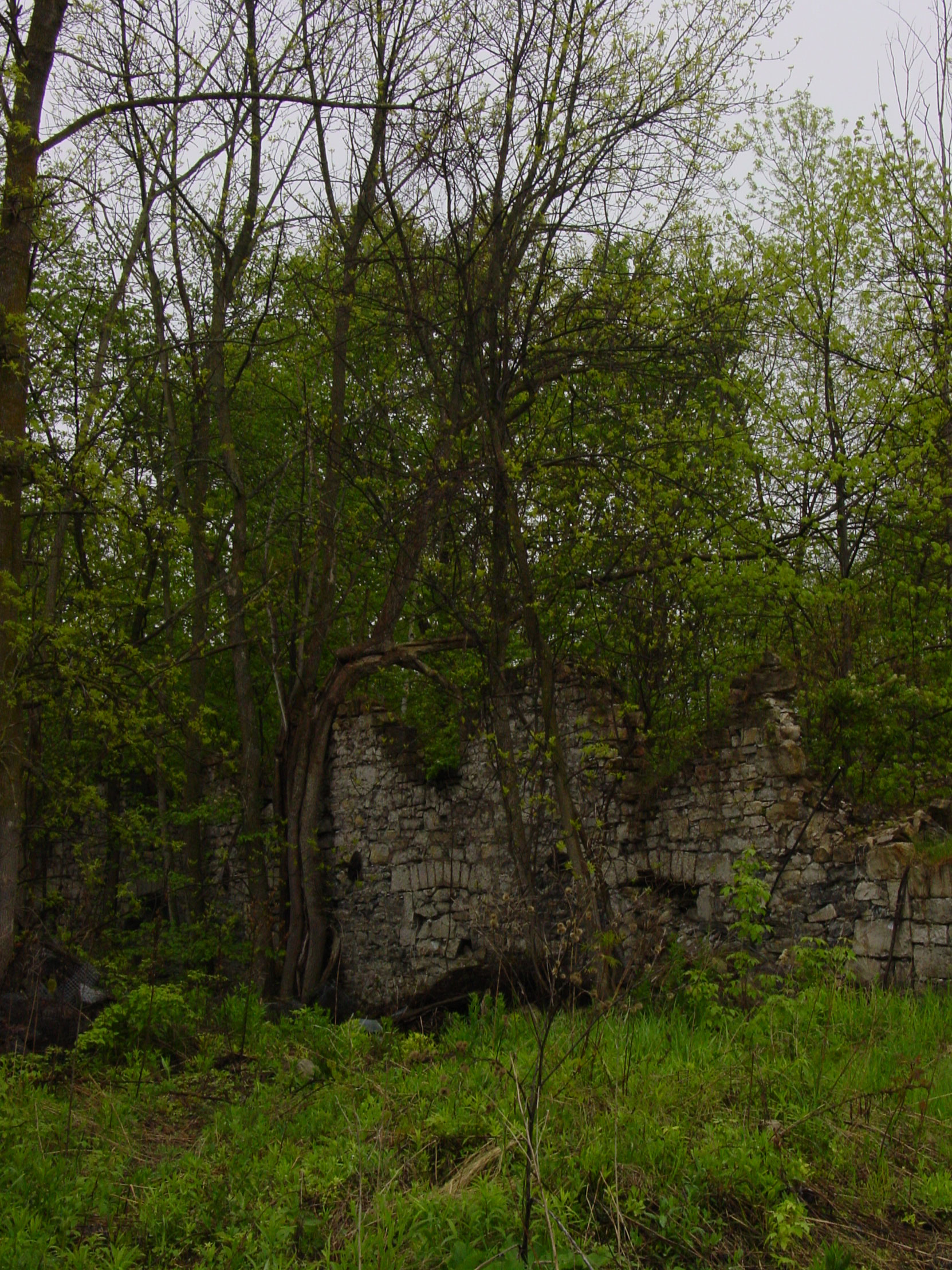 Ruins of the Owen Sound Portland Cement Company factory, Shallow Lake, Ontario, 2003 (photo by author)