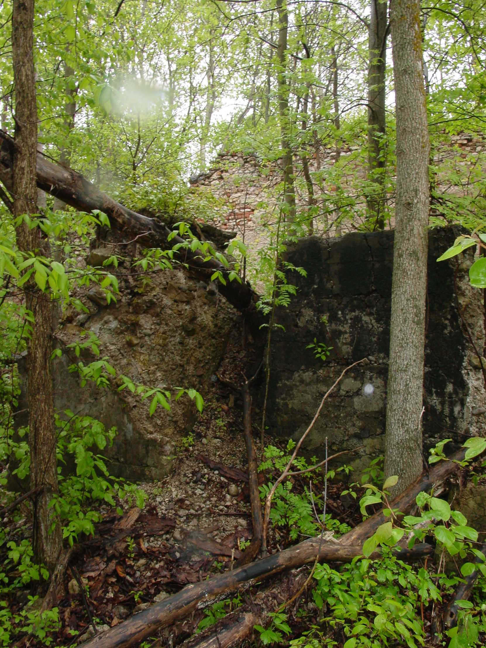 Ruins of the Owen Sound Portland Cement Company factory, Shallow Lake, Ontario, 2003 (photo by author)