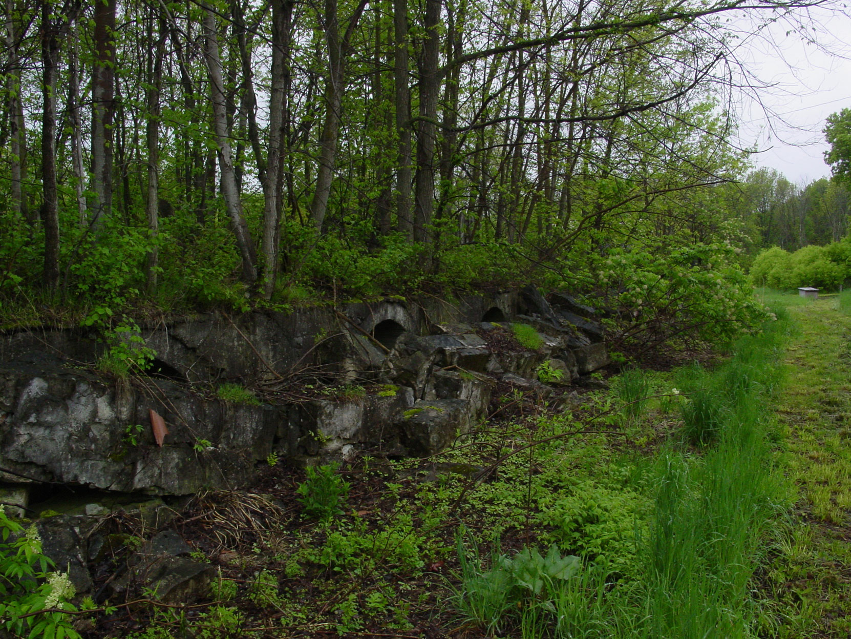 Remains of storage bins among the ruins of the Owen Sound Portland Cement Company factory, Shallow Lake, Ontario, 2003. (photo by author)