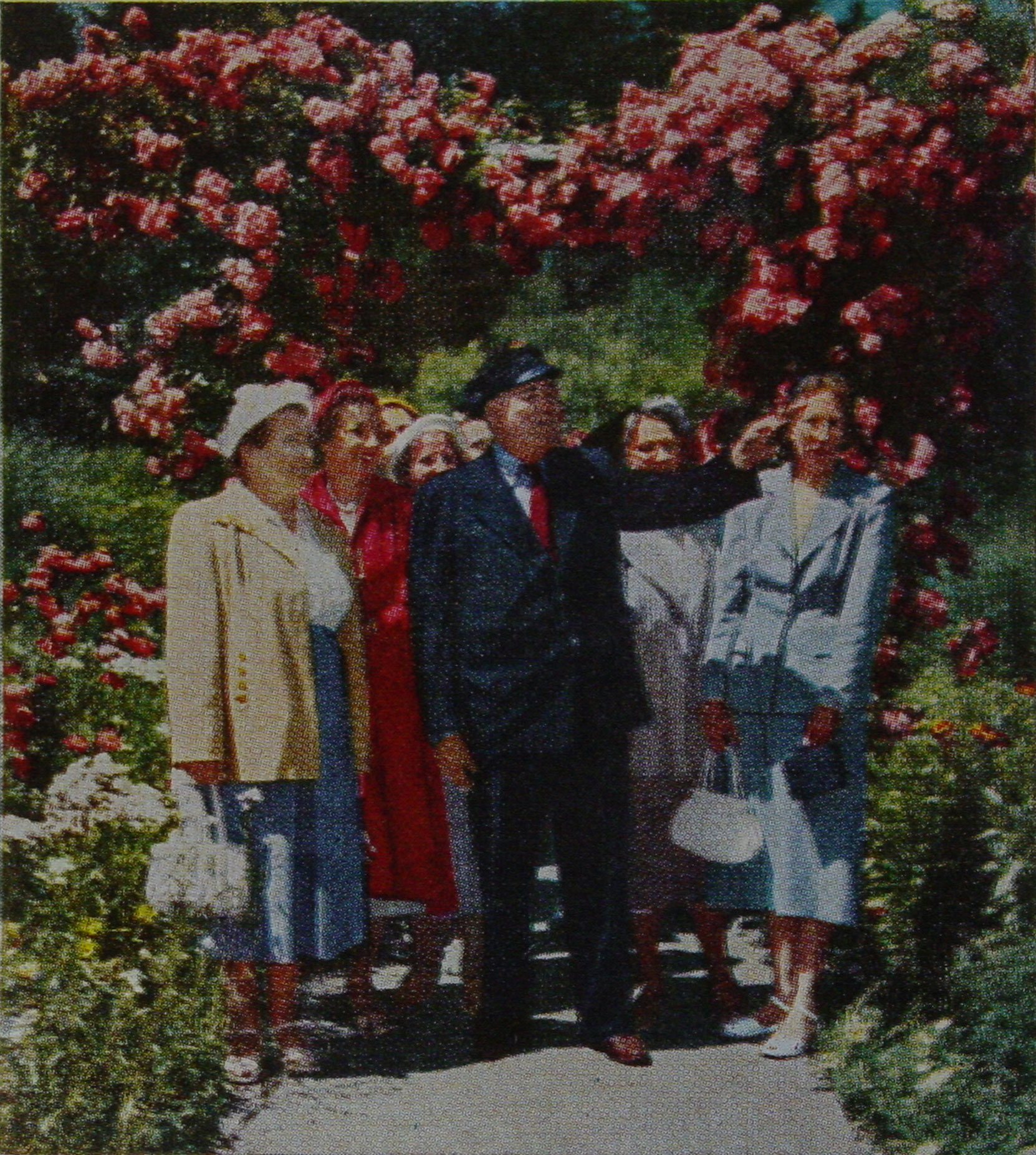 George "Rebel" Mowat leading a tour through the Rose Garden at Butchart Gardens, 1952. This photo appeared in a 1952 article in Macleans magazine (Macleans.ca)