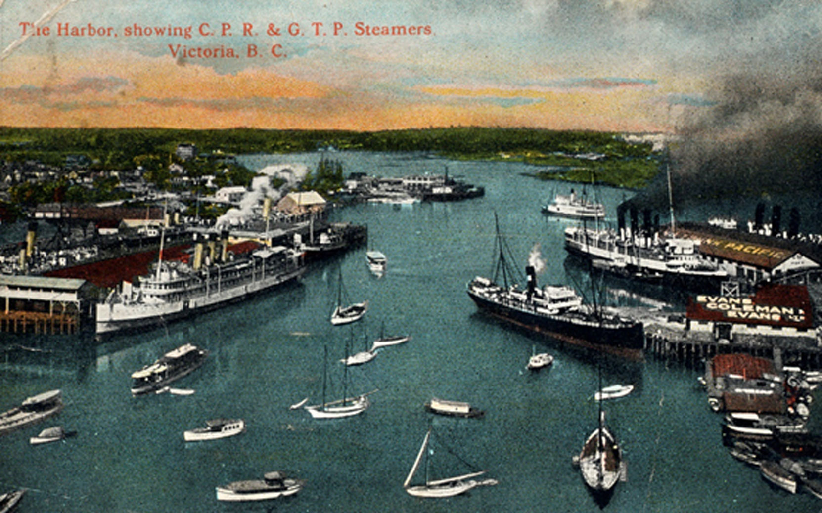 Victoria’s Inner Harbour looking west from the Empress Hotel, circa 1920. The Evans, Coleman & Evans Ltd. warehouse on Pier A, Wharf Street is visible in the lower right of the photograph. The company’s name is painted on the warehouse roof. Robert Butchart would have seen a similar view of the Inner Harbour from the B.C. Cement Company’s 3rd floor offices in the nearby Belmont Building at the corner of Government and Humboldt Streets. (Author’s collection)