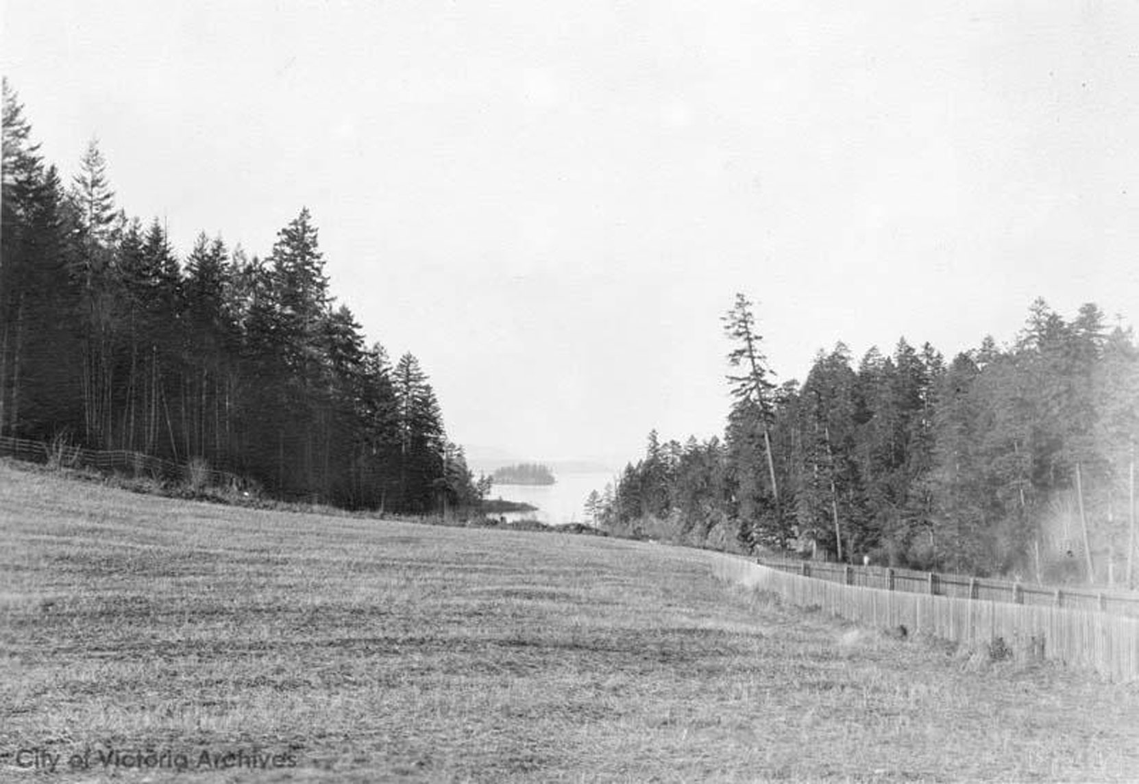 The site of the Japanese Garden, looking north west toward Butchart Cove, circa 1904 (City of Victoria Archives photo M-05823)