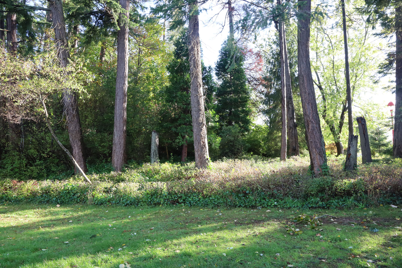 The site of the Japanese Tea Garden pavilion in Gorge Park, as it appears today. (photo by Author)