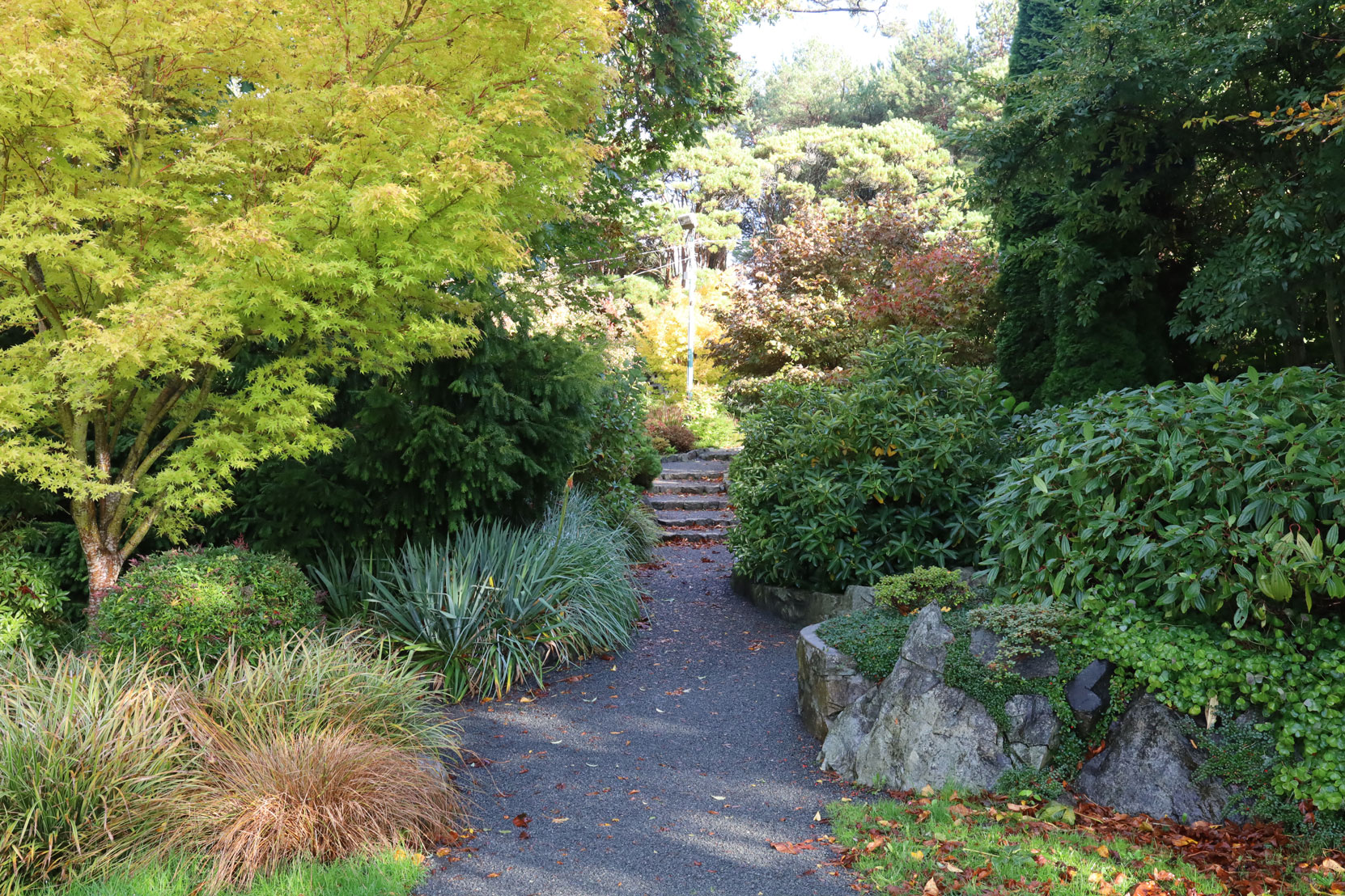 The site of Isaburo Kishida's Japanese Tea Garden design in Gorge Park, as it appears today. (photo by Author)
