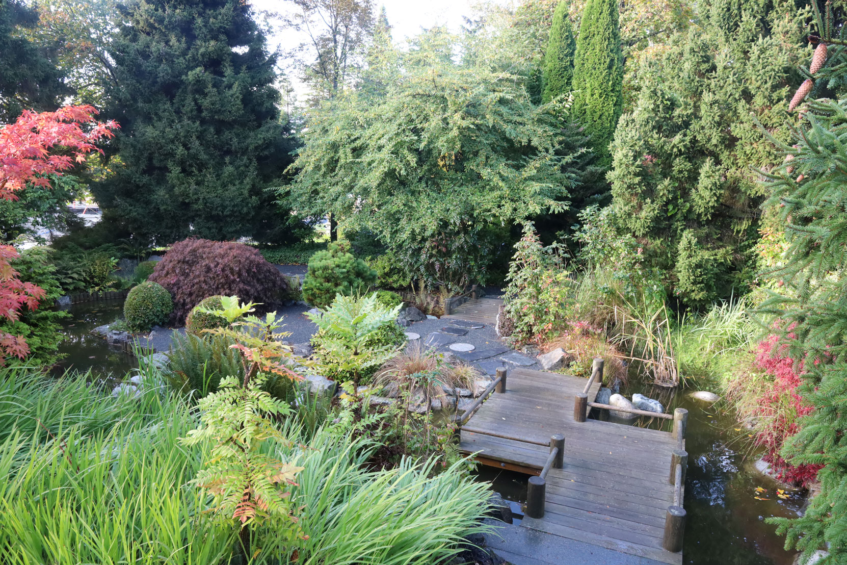 The site of Isaburo Kishida's Japanese Tea Garden design in Gorge Park, as it appears today. (photo by Author)