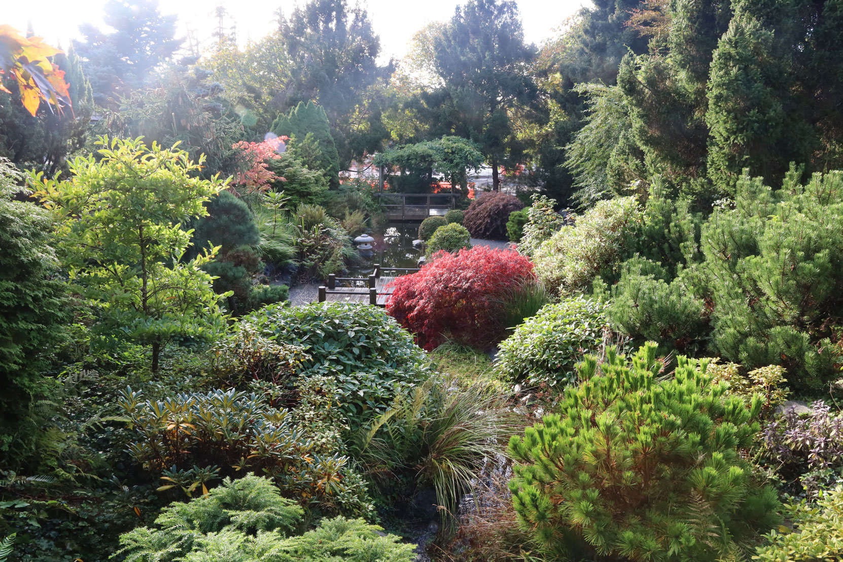 The site of Isaburo Kishida's Japanese Tea Garden design in Gorge Park, as it appears today. (photo by Author)