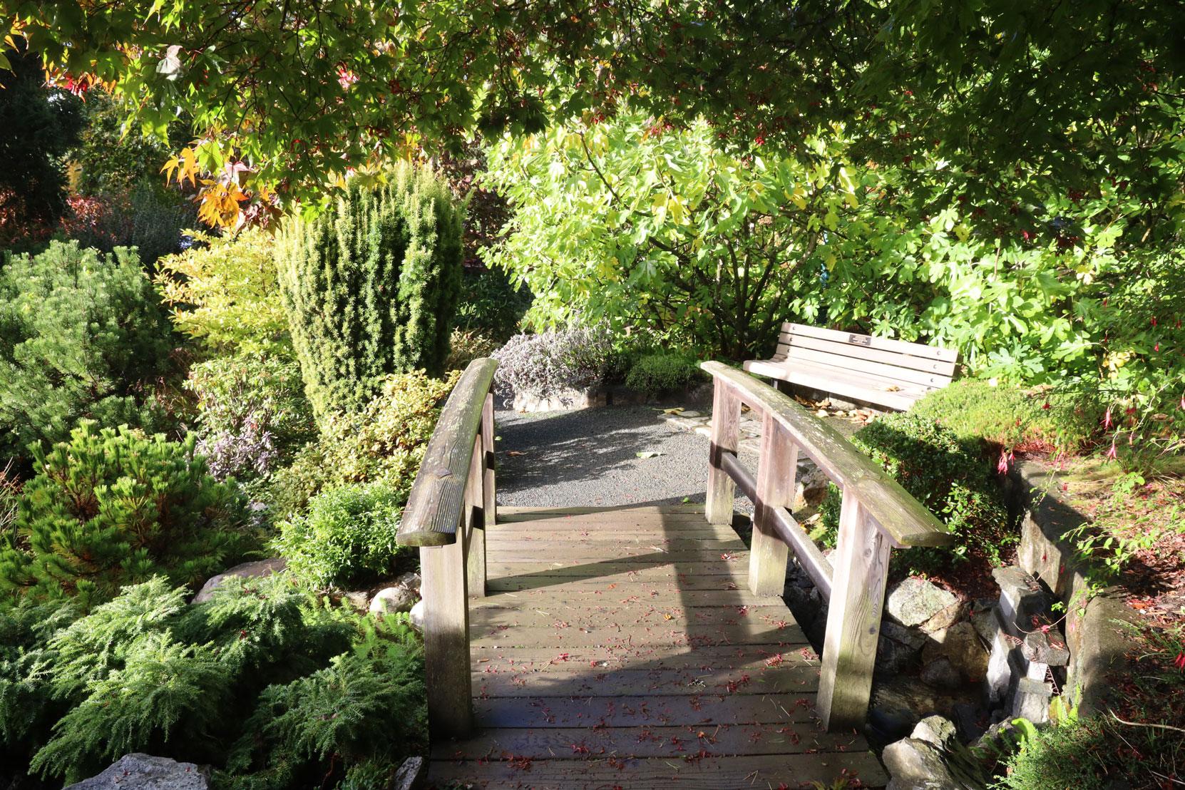 The site of Isaburo Kishida's Japanese Tea Garden design in Gorge Park, as it appears today. (photo by Author)