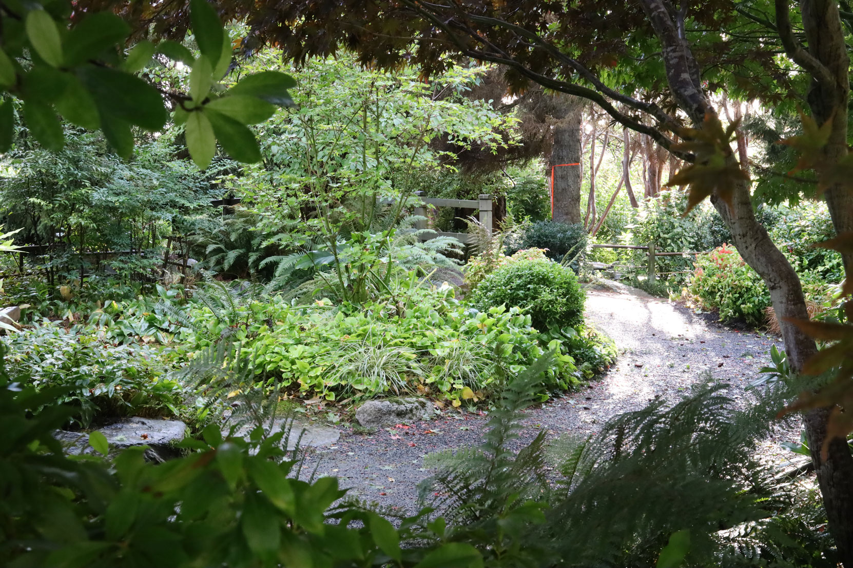 The site of Isaburo Kishida's Japanese Tea Garden design in Gorge Park, as it appears today. (photo by Author)