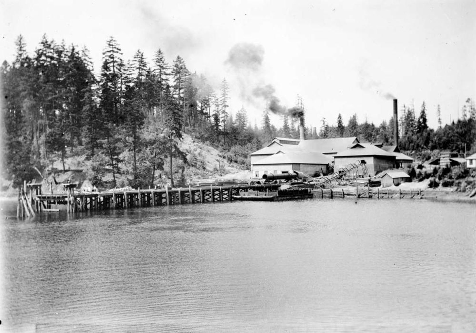 Vancouver Portland Cement Company plant at Tod Inlet, circa 1910 (BC Archives photo G-6194)